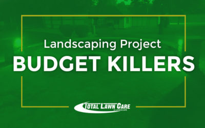 Landscaping Project Budget Killers