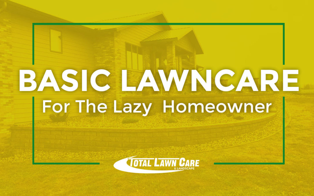 Basic Lawn Care for the Lazy Homeowner