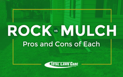 Rock Or Mulch: The Pros And Cons Of Each