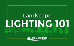 Landscape Lighting 101