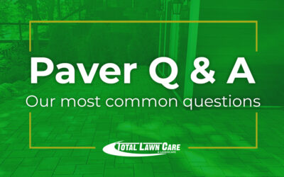 Your Questions About Paver Installation